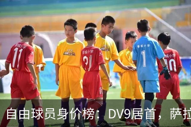 自由球员身价榜：DV9居首，萨拉赫、桑乔、格雷茨卡、斯通斯在列