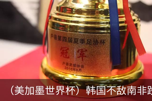 （美加墨世界杯）韩国不敌南非跌至小组第三 出线前景待定